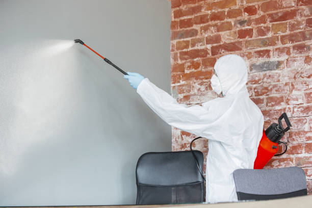 Best Real Estate Mold Inspection  in Spencer, TN