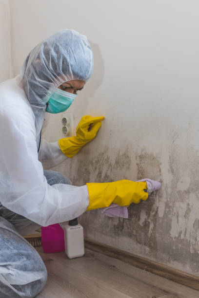 Best Emergency Mold Remediation  in Spencer, TN