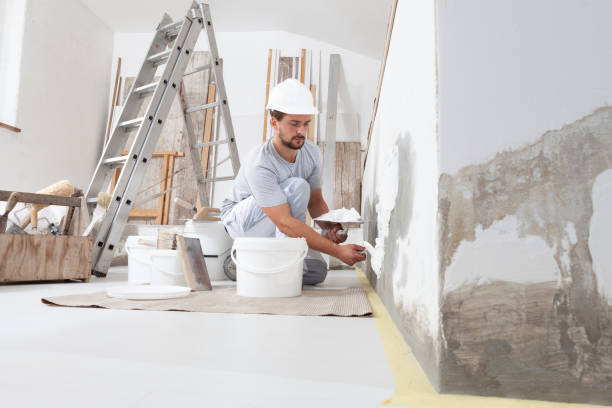 Best Basement Mold Removal  in Spencer, TN