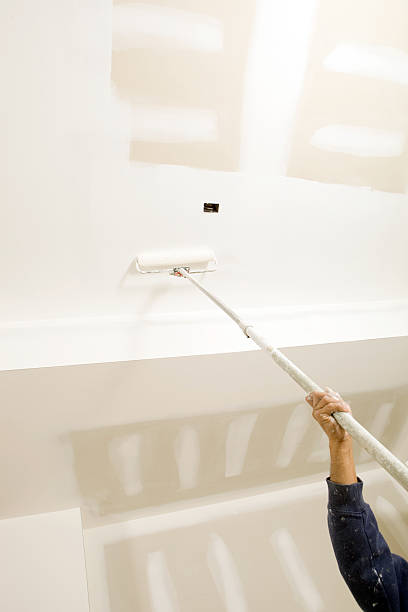 Mold Removal for HVAC Installations in Spencer, TN
