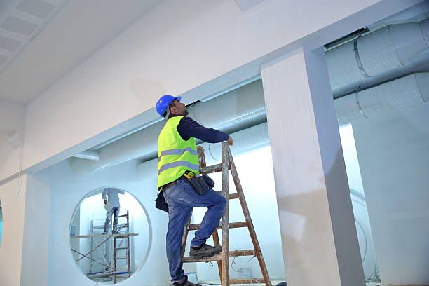 Best Black Mold Removal  in Spencer, TN